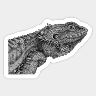 Bearded Dragon Sticker